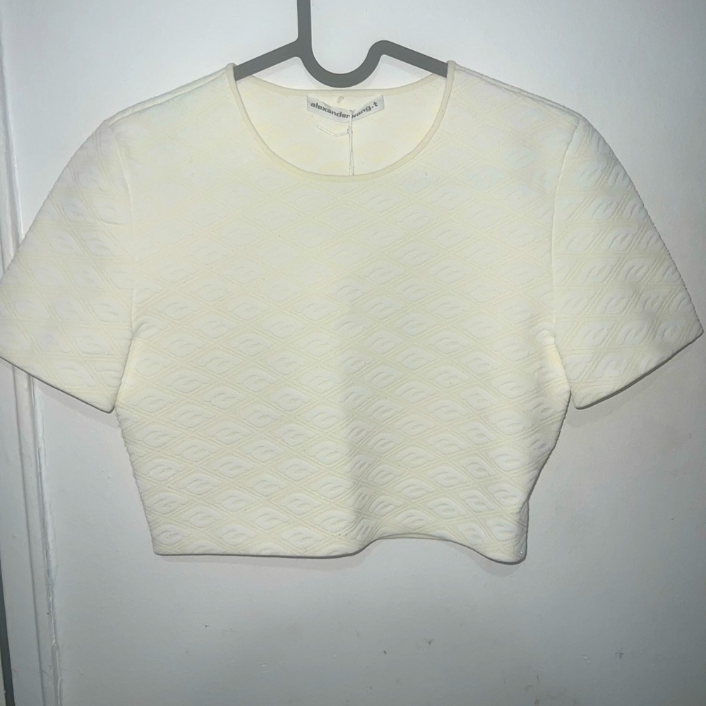 Alexander Wang Shirt